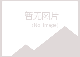 城北区夏岚制造有限公司